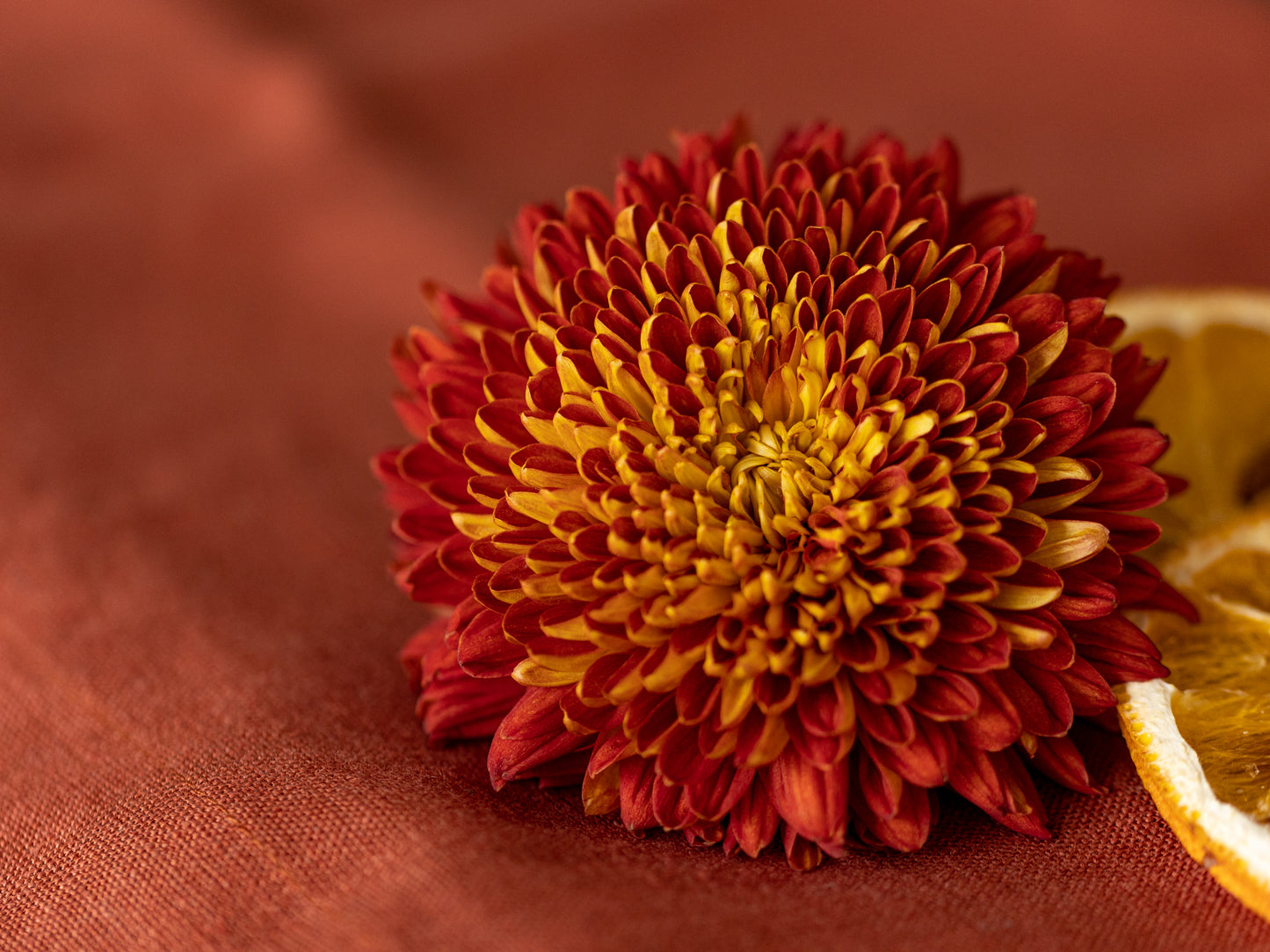 Tablecloth Terracotta